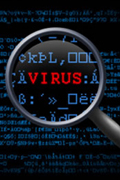 Новый компьютерный вирус сеет страх и панику